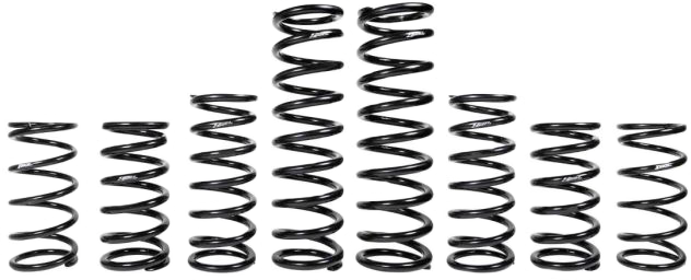 Z Broz Racing Dymyx Spring Kit