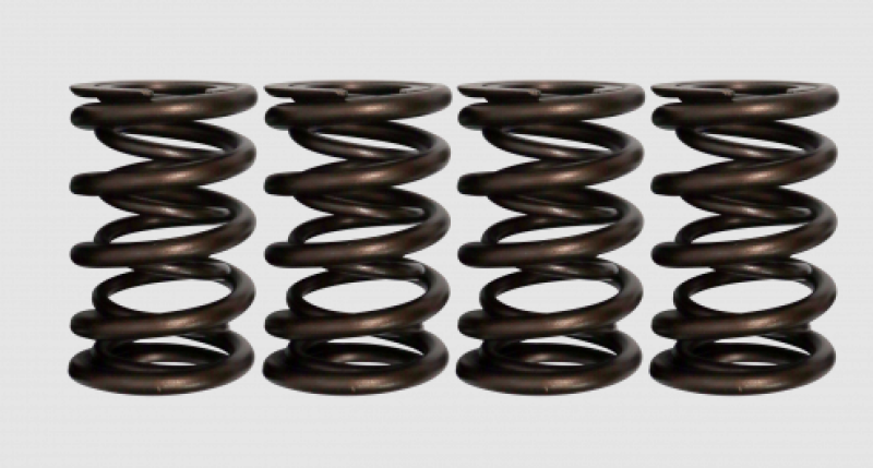 Ferrea 06-09 Yamaha 700R Grizzly 13.84mm/18.82mm ID Dual Valve Springs - Set of 2