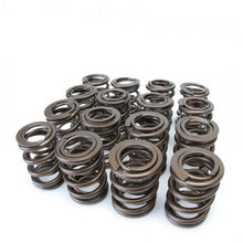 Cargar imagen en el visor de la galería, Skunk2 Tuner Series Honda/Acura (K20/K24/F20C/F22C) DOHC VTEC Alpha Valve Spring Set (Dual Springs)