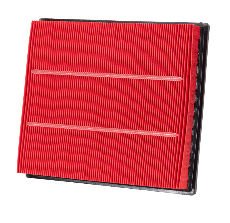 Photo - Primary