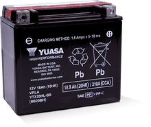 Cargar imagen en el visor de la galería, Batería AGM de alto rendimiento Yuasa YTX20HL-BS (botella incluida)