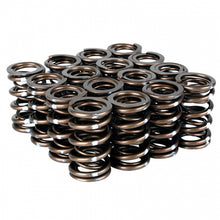 Load image into Gallery viewer, Skunk2 Pro Series Honda/Acura K-Series i-VTEC XP Valve Spring Set (Dual Springs)