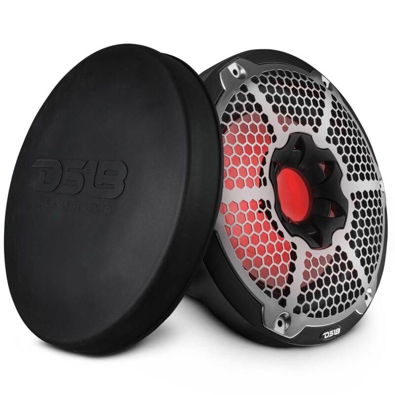 DS18 Subwoofer & Enclosure 10in 300 Watts RMS 4 ohm SVC Black w/ Covers (NXL-10SUB/BK)