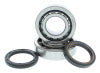 Hot Rods 2017-2024 Honda CRF 450 R 450cc Main Bearing & Seal Kit (K095)