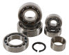 Hot Rods 01-04 Kawasaki KX 100 100cc Transmission Bearing Kit (TBK0034)