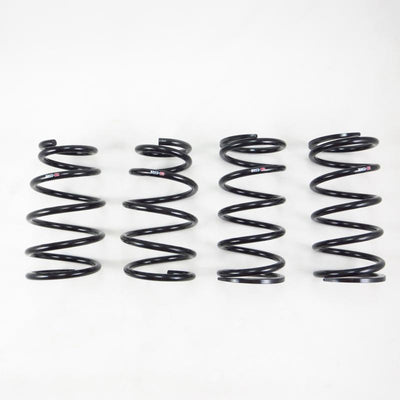 RS-R Down Sus Springs — Fits 2019 Lexus ES350 F-Sport