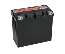 Cargar imagen en el visor de la galería, Odyssey Battery Powersport Extreme AGM Battery