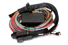 Cargar imagen en el visor de la galería, Haltech Elite 2500 &amp; 2500 T 8ft Premium Universal Wire-In Harness