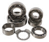 Hot Rods 06-09/11-21 Yamaha YFM 700 R Raptor 700cc Transmission Bearing Kit (TBK0078)