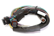 Cargar imagen en el visor de la galería, Haltech Elite 2500 8ft Basic Universal Wire-In Harness (Excl Relays or Fuses)