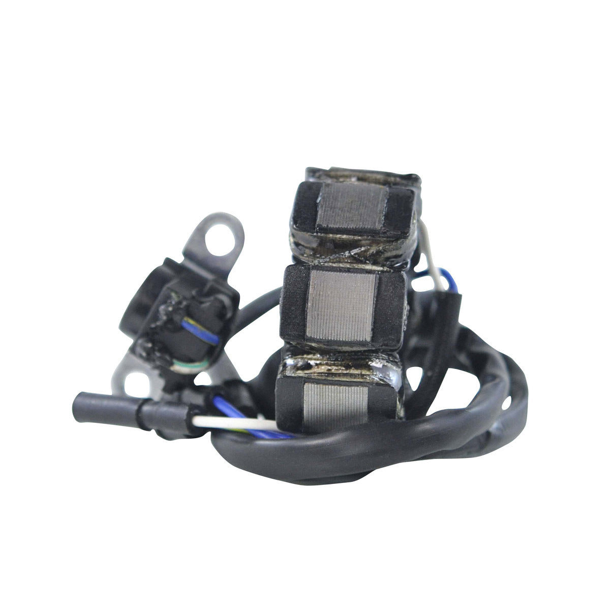 RM Stator Stator STATOR+PICKUP+CONNECTOR (RM01451)