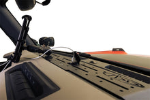 Load image into Gallery viewer, Photo - Mounted