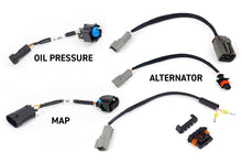 Cargar imagen en el visor de la galería, Haltech NEXUS Rebel LS Kit (Suits Gen IV) 6-Pin DBW Throttle/EV6 Injectors/Manual Transmission