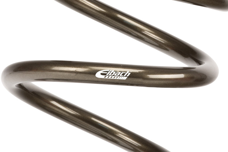 Eibach ERS 14in L x 3.50in OD Platinum Rear Spring - 145 lbs/in