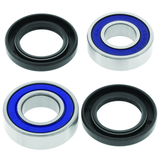 QuadBoss 06-20 Can-Am DS 250 Lower Steering Bearing Kit