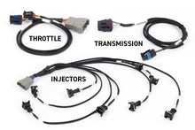 Cargar imagen en el visor de la galería, Haltech NEXUS Rebel LS Kit (Suits Gen III) Cable Throttle/EV1 Injectors/Manual Transmission