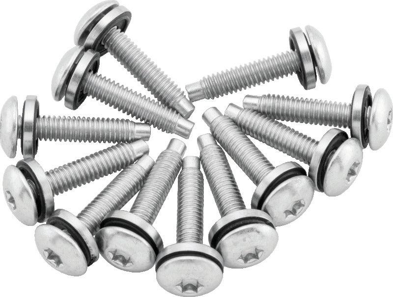 Twin Power 04-17 Dyna Models Fuel Pump Plate Screw Kit Replaces H-D 1311