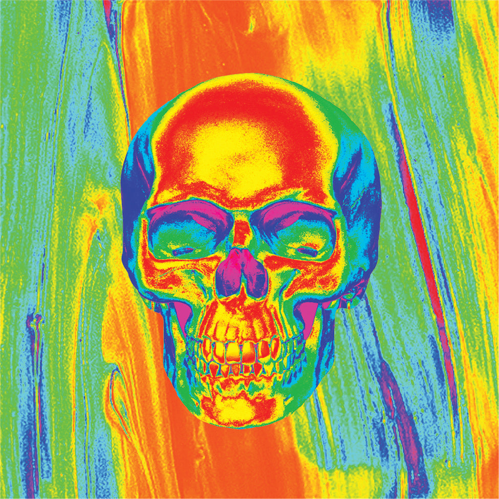 ZAN Poly Micromesh Thrml Flydanna Skull (ZM595)