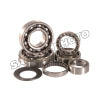 Hot Rods 05-20 Yamaha YZ 125 125cc Transmission Bearing Kit (TBK0064)