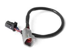 Cargar imagen en el visor de la galería, Haltech 3in CAN Adaptor Cable DTM-4 Female Receptacle/Socket to 8 Pin Black Tyco