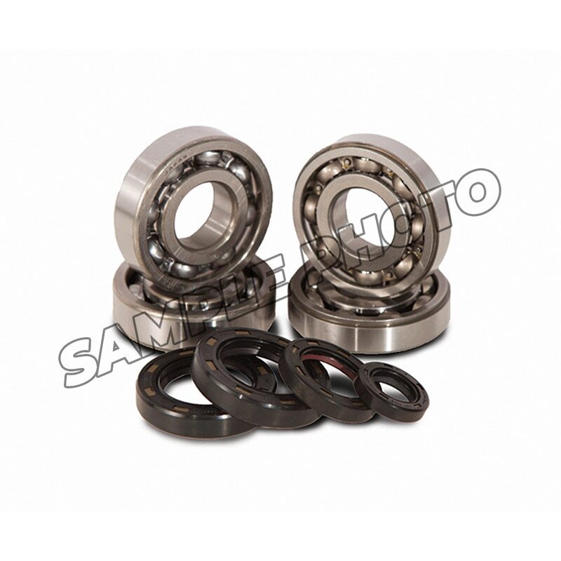 Hot Rods 96-02 RM 250 Main Bearing & Seal Kit (K229)