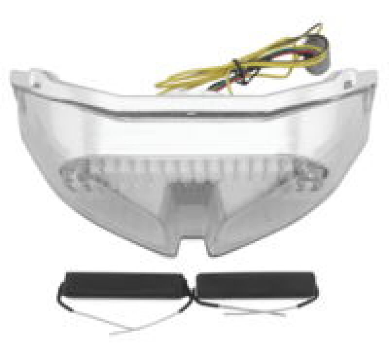 BikeMaster Int Tail Fz1 06-12 Clr