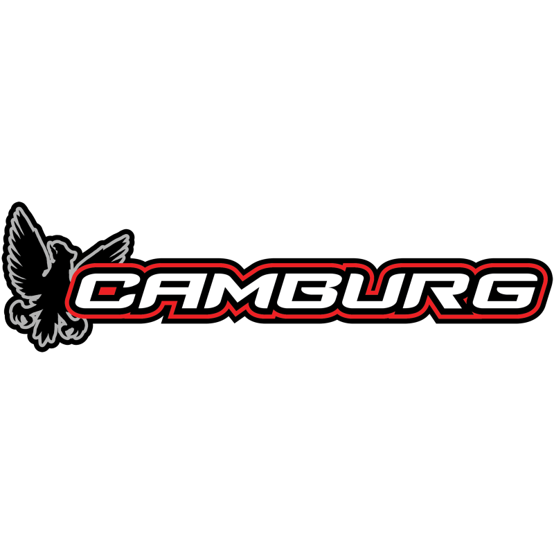 Camburg 1.25in Uniball Upper Control Arms w/ Covers — Ford F-150 2WD/4WD 2009-2020