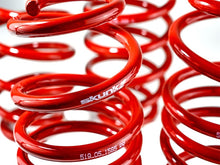 Cargar imagen en el visor de la galería, Skunk2 12 Honda Civic Lowering Springs (2.25 - 2.00in) (Set of 4)