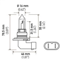 Cargar imagen en el visor de la galería, Hella HB3 9005 12V 100W Xenon White XB Bulb (Pair)