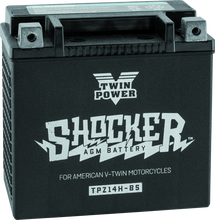 Cargar imagen en el visor de la galería, Twin Power YTX-14 Shocker Battery Replaces H-D 65948-00