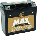 Twin Power GYZ-20HL Premium MAX Battery Replaces H-D 65989-97A Made in USA