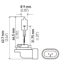 Load image into Gallery viewer, Hella Bulb 888 12V 50W PGJ13 T3.25