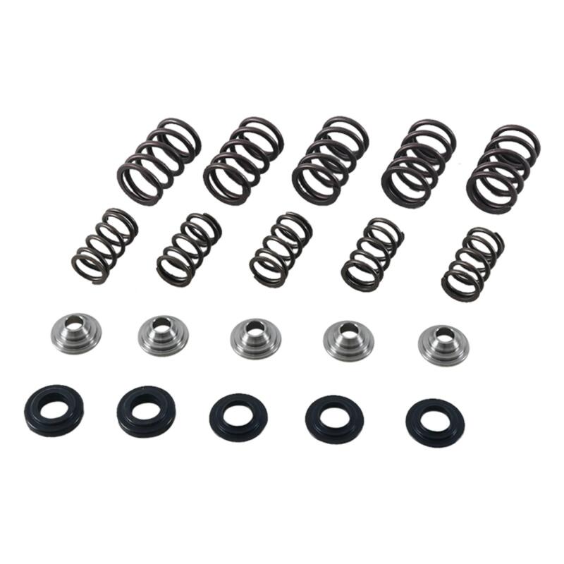 Hot Cams 01-05 YFM 660 R Raptor Valve Spring Kit