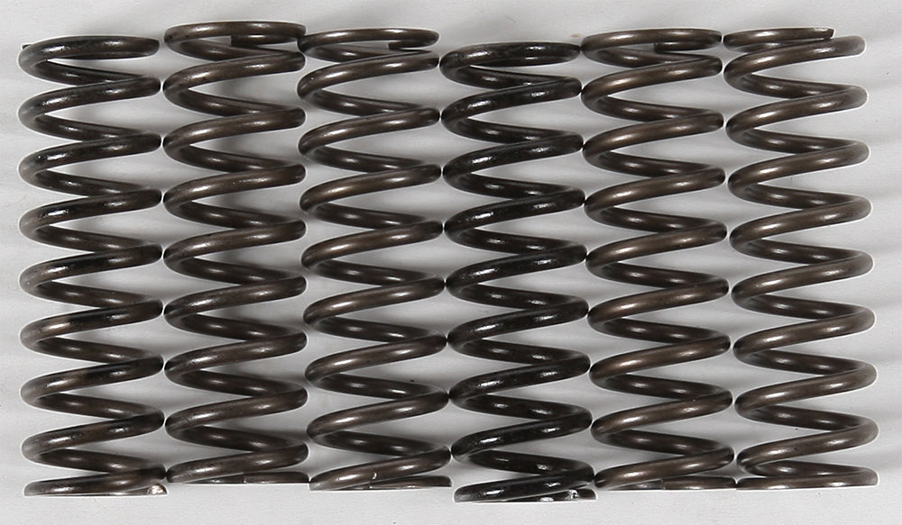 Hinson High Temp Springs 6 Springs (CS216-6-0315)