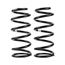 Cargar imagen en el visor de la galería, ARB / OME Coil Spring Rear Prado 4/03On