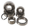 Hot Rods 2005 Suzuki RM 65 65cc Transmission Bearing Kit (TBK0040)