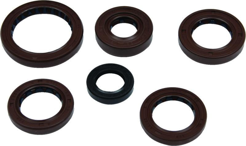 QuadBoss Qb Oil Seal Set