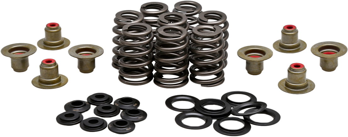 KPMI Beehive Valve Spring KIT .550 Lift M8`17-24 NON VVT (20-21215)