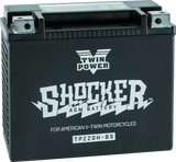 Twin Power YTX-20H Shocker Battery Replaces H-D 65991-82B