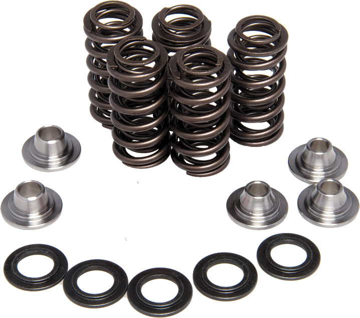 KPMI Racing Valve Spring KIT (30-31600)
