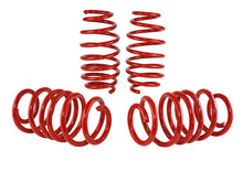 Cargar imagen en el visor de la galería, Skunk2 12 Honda Civic Lowering Springs (2.25 - 2.00in) (Set of 4)