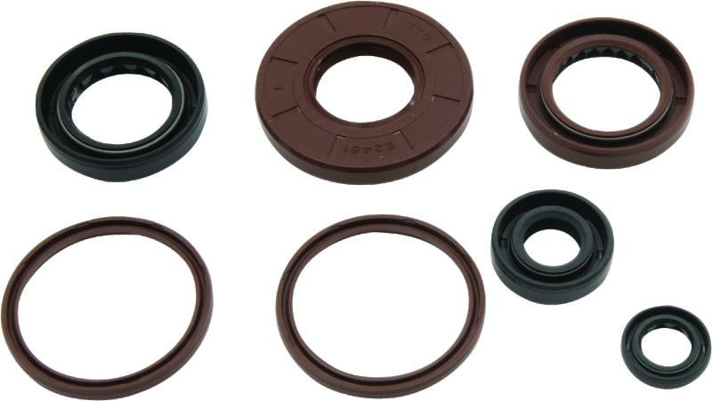 QuadBoss Qb Oil Seal Set