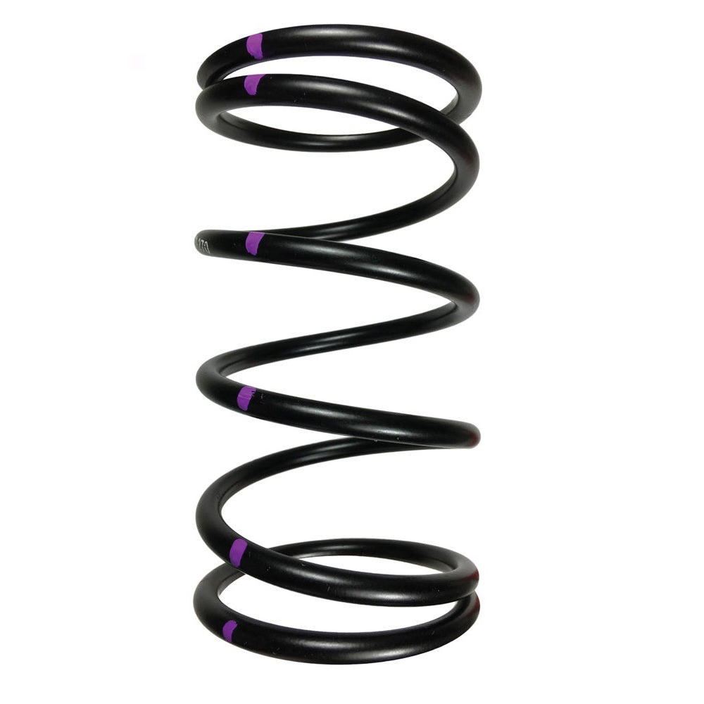 Speedwerx H5 Driven Clutch Spring Black/Silver (CCH5-L-160-250)