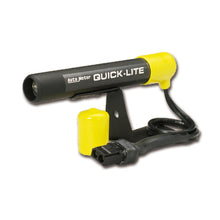 Cargar imagen en el visor de la galería, Autometer Black Quick-Lite Shift-Lite