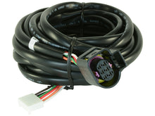 Cargar imagen en el visor de la galería, AEM Replacement Sensor Harness for Digital Wideband Gauge (30-4110)