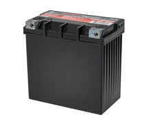 Cargar imagen en el visor de la galería, Odyssey Battery Powersport Extreme AGM Battery