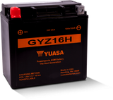 Yuasa GYZ16H High Performance Maintenance Free AGM 12 Volt Battery