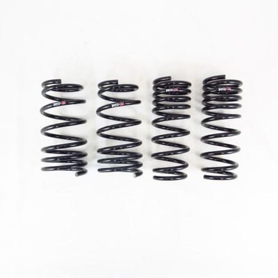 RS-R Down Sus Lowering Springs — 2022 Toyota GR86