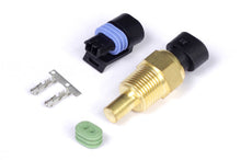 Cargar imagen en el visor de la galería, Haltech Coolant Temp Sensor 3/8 NPT 18 TPI (Incl Delphi Plug &amp; Pins)