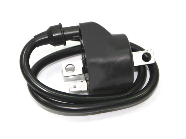 Bronco ATV Ignition Coil (AT-01319)